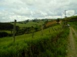 Foto do Imvel 7